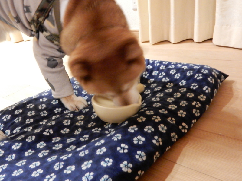 f:id:miyuki1967:20171209100214j:image:w450