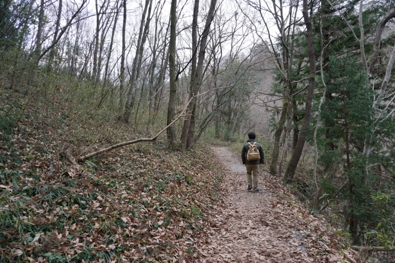 f:id:miyuki1967:20171222130957j:image:w450