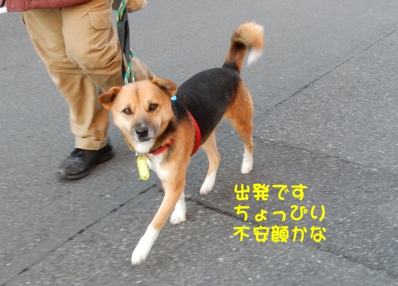 f:id:miyuki1967:20180111100026j:image:w450 f:id:miyuki1967:20180111100026j:image:w450