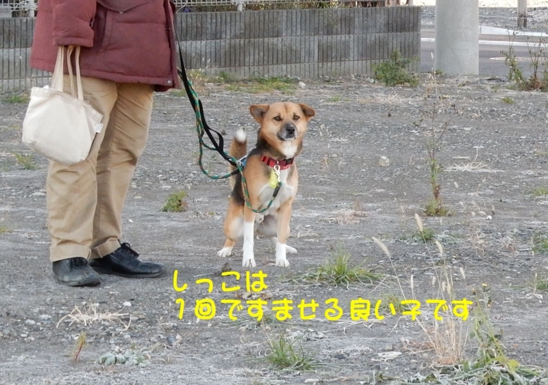 f:id:miyuki1967:20180111100029j:image:w450 f:id:miyuki1967:20180111100029j:image:w450