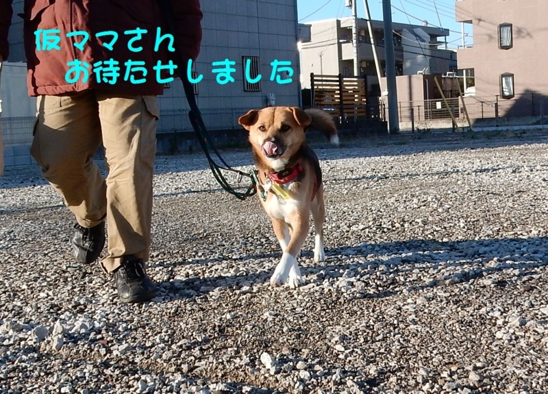 f:id:miyuki1967:20180111100030j:image:w450 f:id:miyuki1967:20180111100030j:image:w450