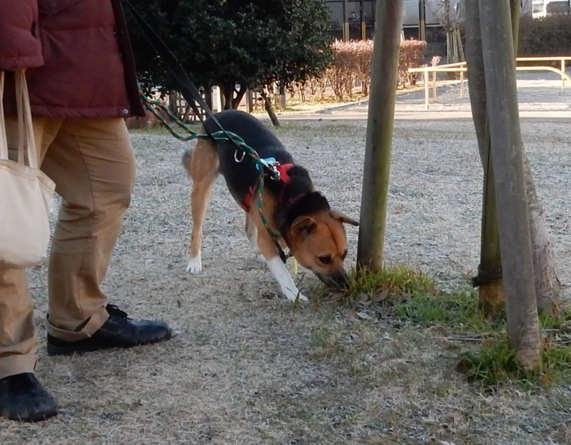 f:id:miyuki1967:20180111100031j:image:w450 f:id:miyuki1967:20180111100031j:image:w450
