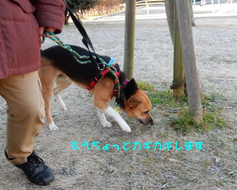 f:id:miyuki1967:20180111100032j:image:w450 f:id:miyuki1967:20180111100032j:image:w450