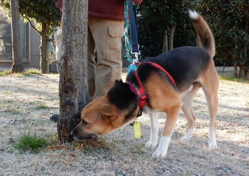 f:id:miyuki1967:20180111100033j:image:w450 f:id:miyuki1967:20180111100033j:image:w450