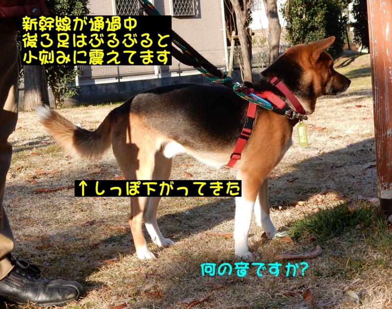 f:id:miyuki1967:20180111100035j:image:w450 f:id:miyuki1967:20180111100035j:image:w450