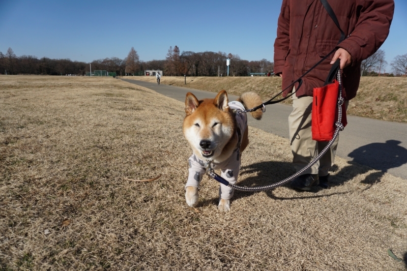 f:id:miyuki1967:20180112135157j:image:w450