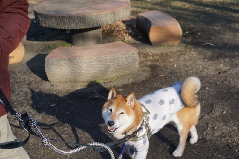 f:id:miyuki1967:20180112135209j:image:w450