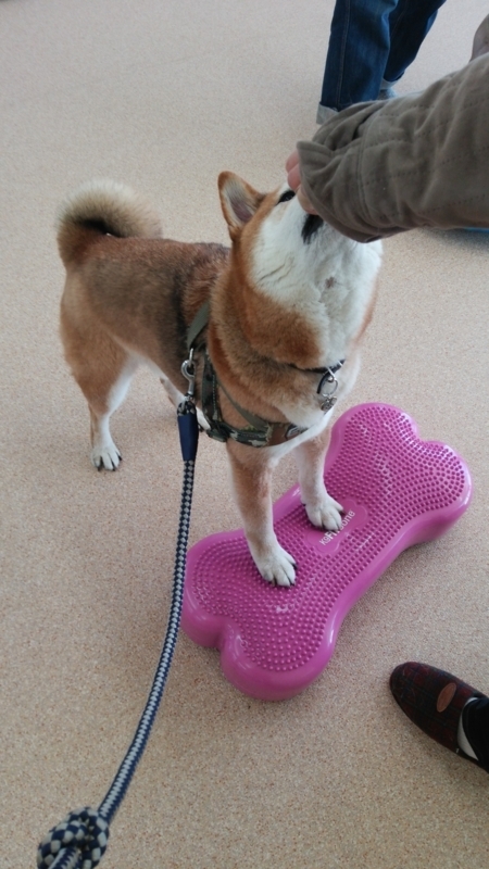 f:id:miyuki1967:20180116115404j:image:w450