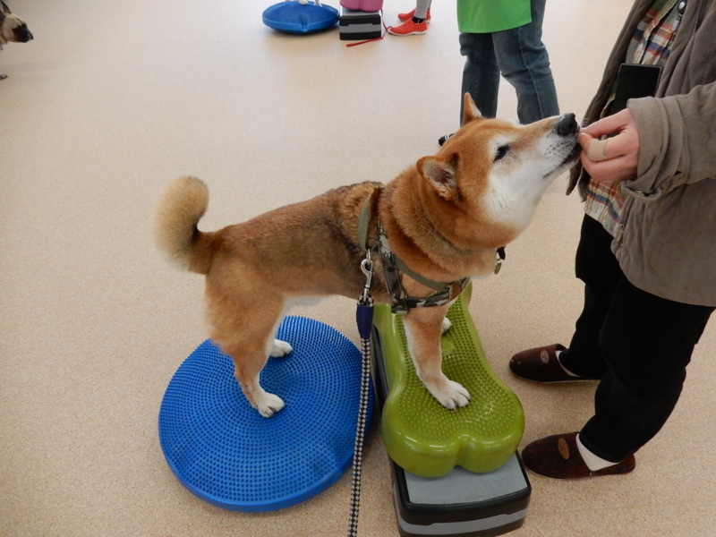 f:id:miyuki1967:20180116115405j:image:w450