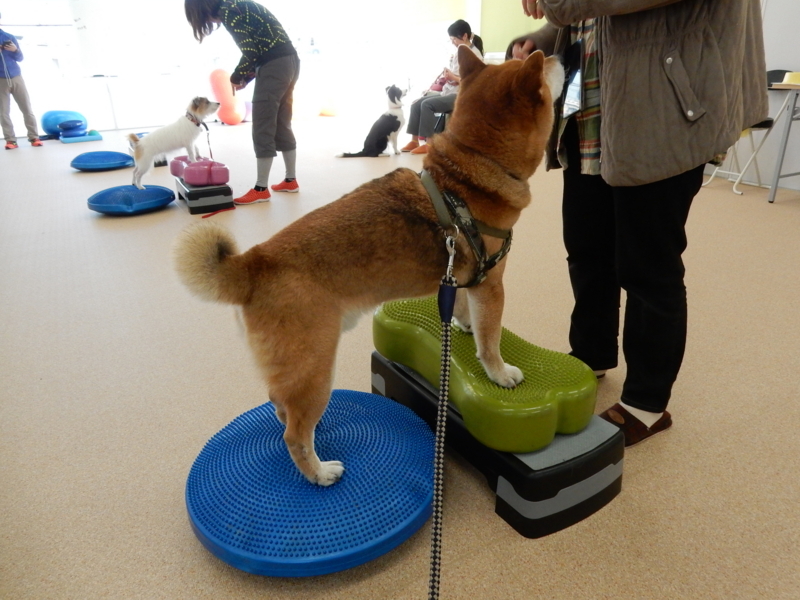 f:id:miyuki1967:20180116115406j:image:w450