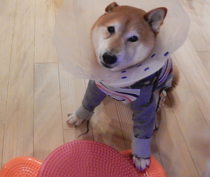 f:id:miyuki1967:20180202114158j:image:w450 f:id:miyuki1967:20180202114158j:image:w450