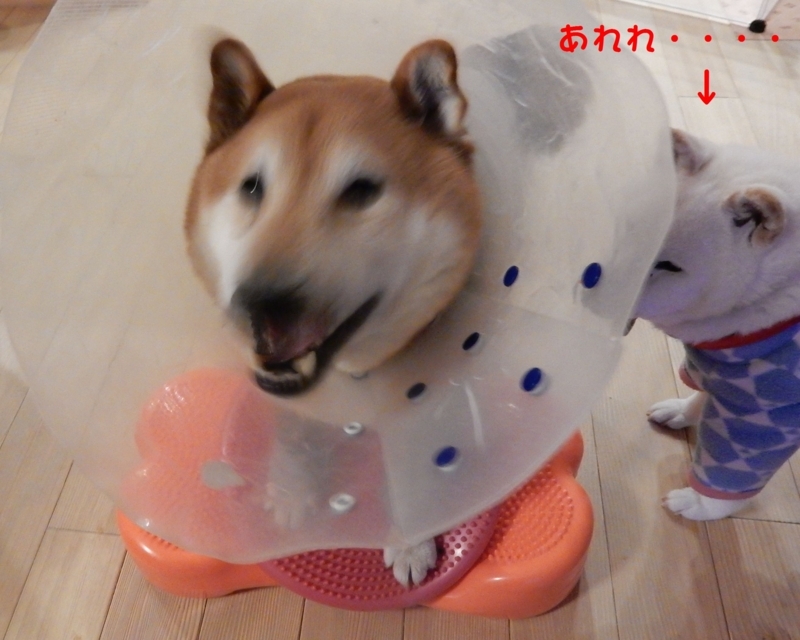 f:id:miyuki1967:20180202114159j:image:w450 f:id:miyuki1967:20180202114159j:image:w450