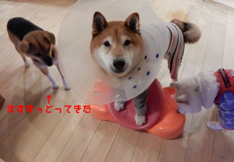 f:id:miyuki1967:20180202114200j:image:w450 f:id:miyuki1967:20180202114200j:image:w450