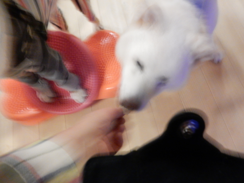 f:id:miyuki1967:20180202114201j:image:w450 f:id:miyuki1967:20180202114201j:image:w450