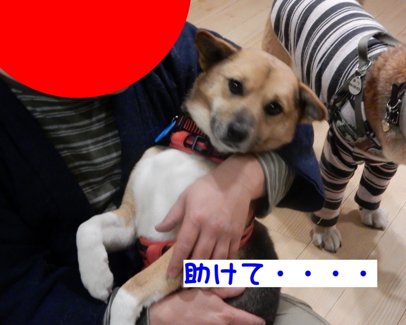 f:id:miyuki1967:20180209103240j:image:w450