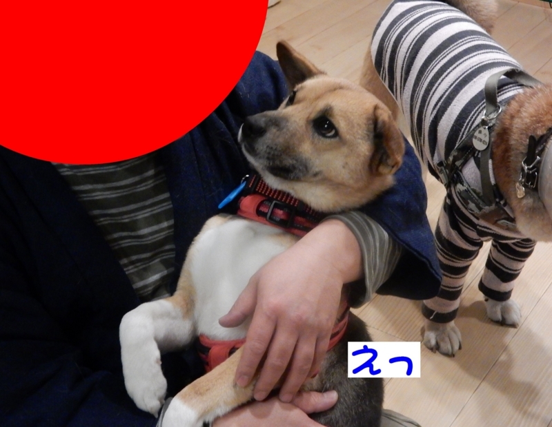 f:id:miyuki1967:20180209103241j:image:w450