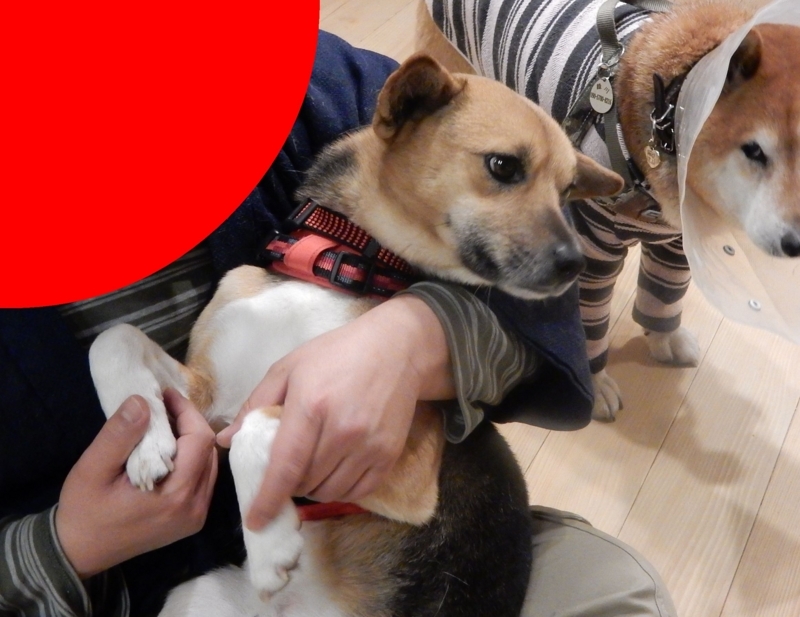 f:id:miyuki1967:20180209103242j:image:w450