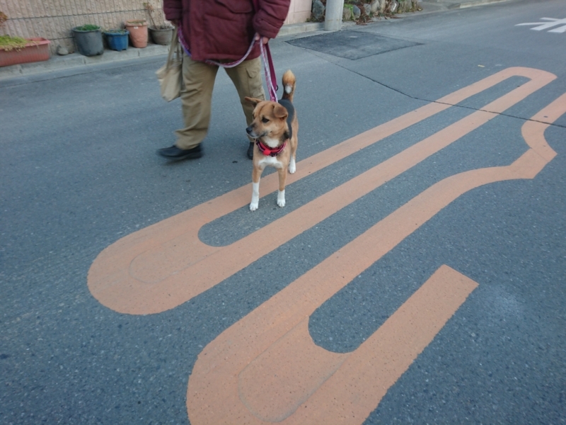 f:id:miyuki1967:20180209153524j:image:w450