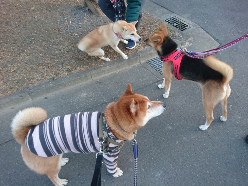 f:id:miyuki1967:20180209153525j:image:w450