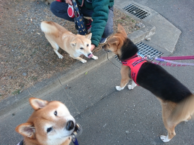 f:id:miyuki1967:20180209153527j:image:w450