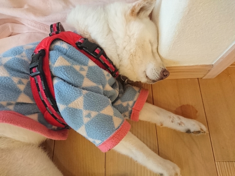 f:id:miyuki1967:20180215100953j:image:w450