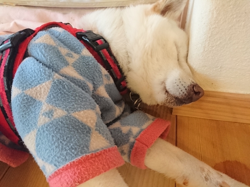 f:id:miyuki1967:20180215100954j:image:w450