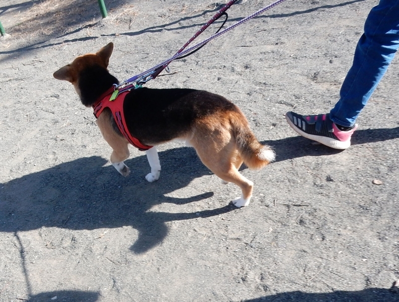 f:id:miyuki1967:20180220091756j:image:w450