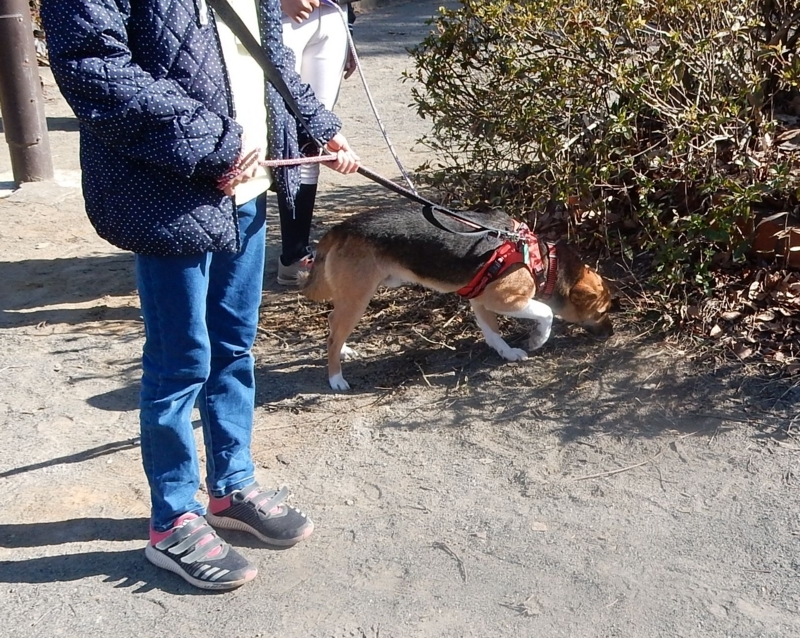 f:id:miyuki1967:20180220091758j:image:w450