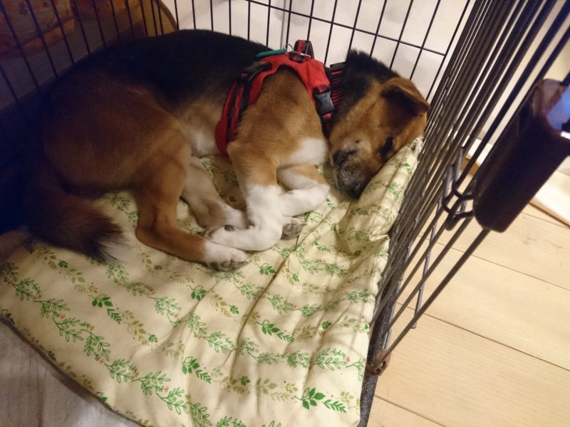 f:id:miyuki1967:20180220091759j:image:w450