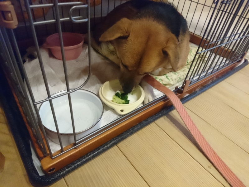 f:id:miyuki1967:20180221113825j:image:w450