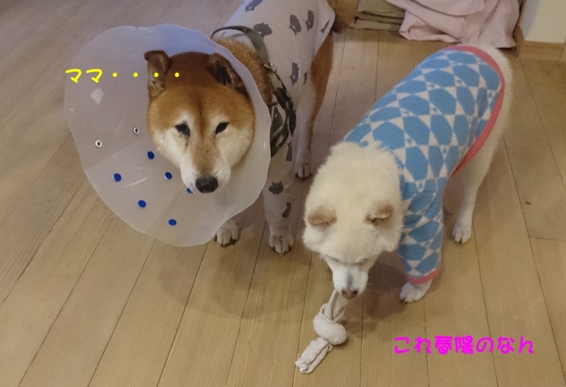 f:id:miyuki1967:20180222105302j:image:w450