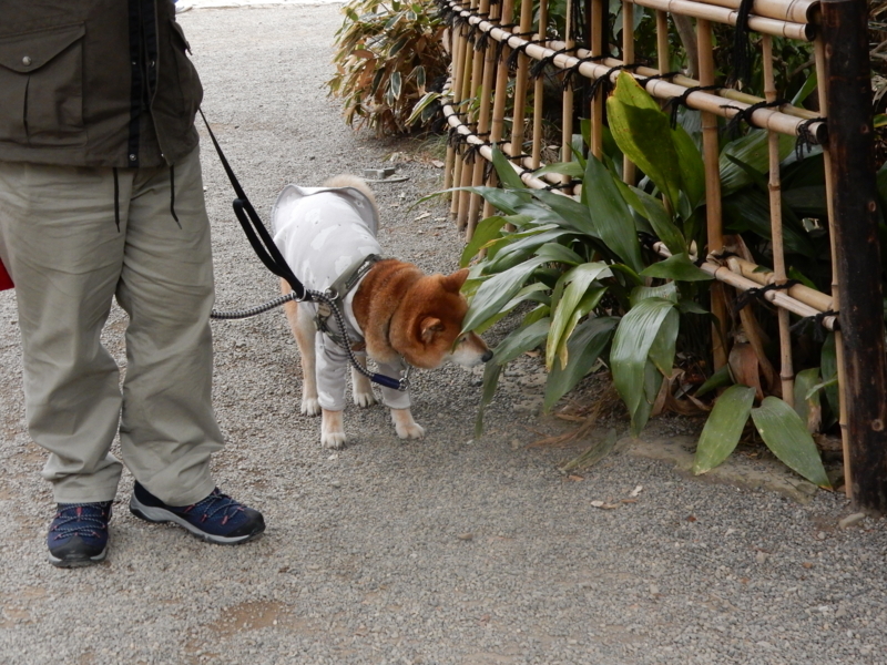 f:id:miyuki1967:20180227110420j:image:w450 f:id:miyuki1967:20180227110420j:image:w450