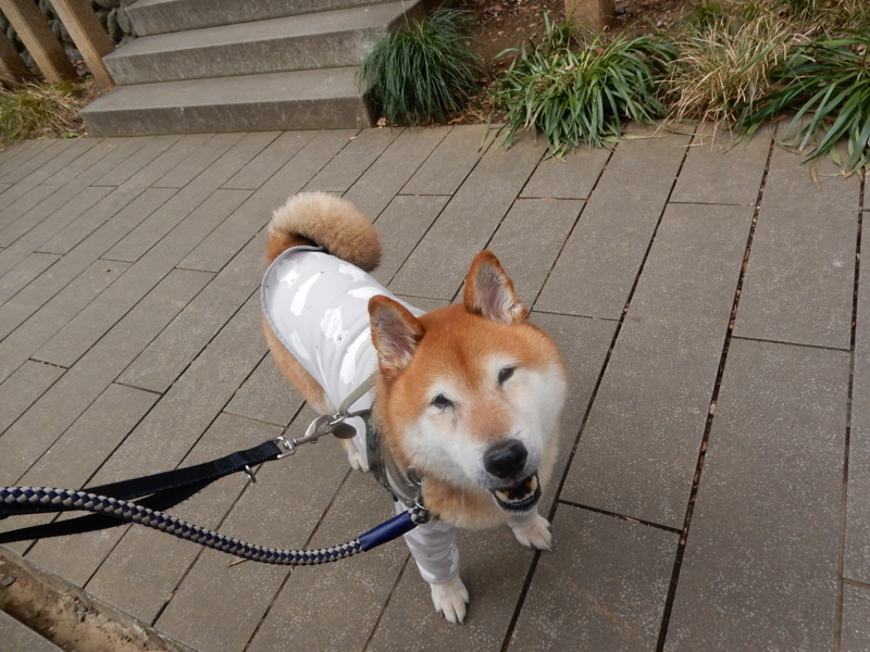 f:id:miyuki1967:20180227110423j:image:w450 f:id:miyuki1967:20180227110423j:image:w450