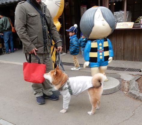 f:id:miyuki1967:20180228112250j:image:w450 f:id:miyuki1967:20180228112250j:image:w450