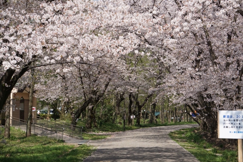 f:id:miyuki1967:20180405100809j:image:w450