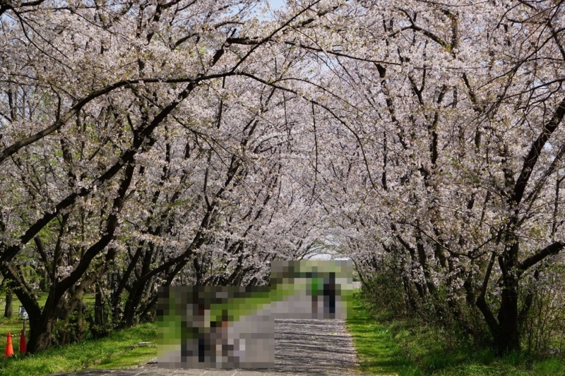 f:id:miyuki1967:20180405100811j:image:w450