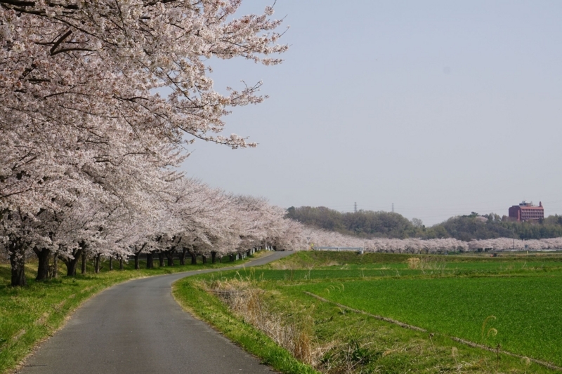 f:id:miyuki1967:20180406095513j:image:w450
