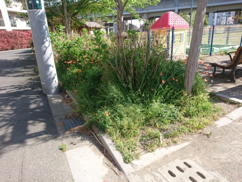 f:id:miyuki1967:20180412112554j:image:w450 f:id:miyuki1967:20180412112554j:image:w450