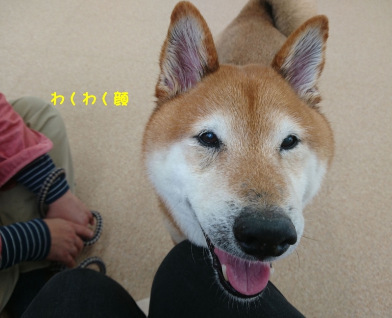 f:id:miyuki1967:20180416111307j:image:w450