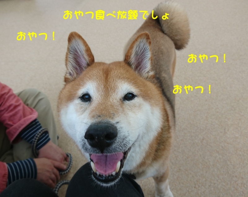 f:id:miyuki1967:20180416111308j:image:w450