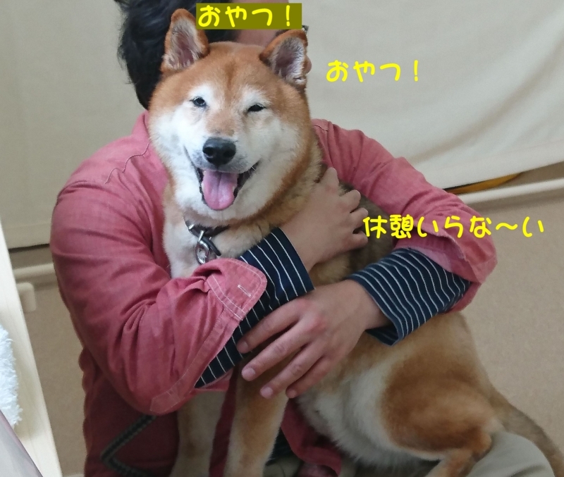 f:id:miyuki1967:20180416111310j:image:w450
