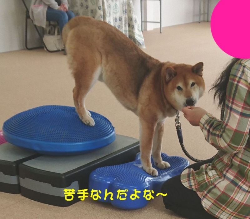 f:id:miyuki1967:20180416111314j:image:w450