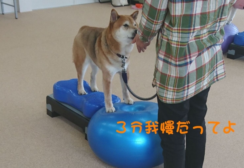 f:id:miyuki1967:20180416111315j:image:w450