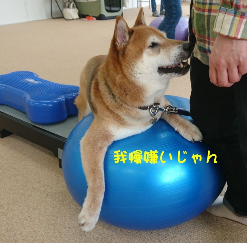 f:id:miyuki1967:20180416111316j:image:w450