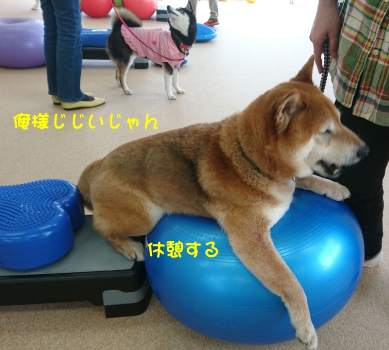 f:id:miyuki1967:20180416111317j:image:w450