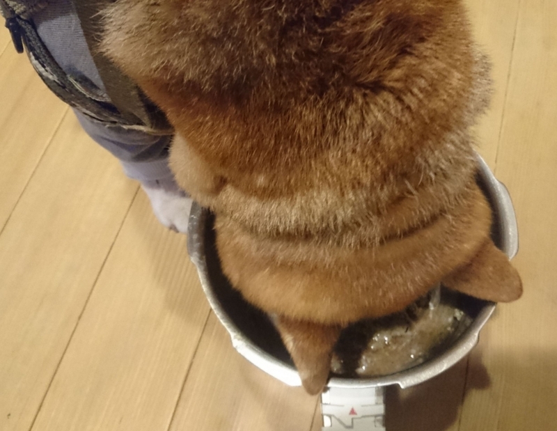 f:id:miyuki1967:20180418104035j:image:w450