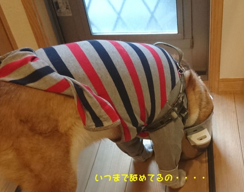 f:id:miyuki1967:20180418104036j:image:w450