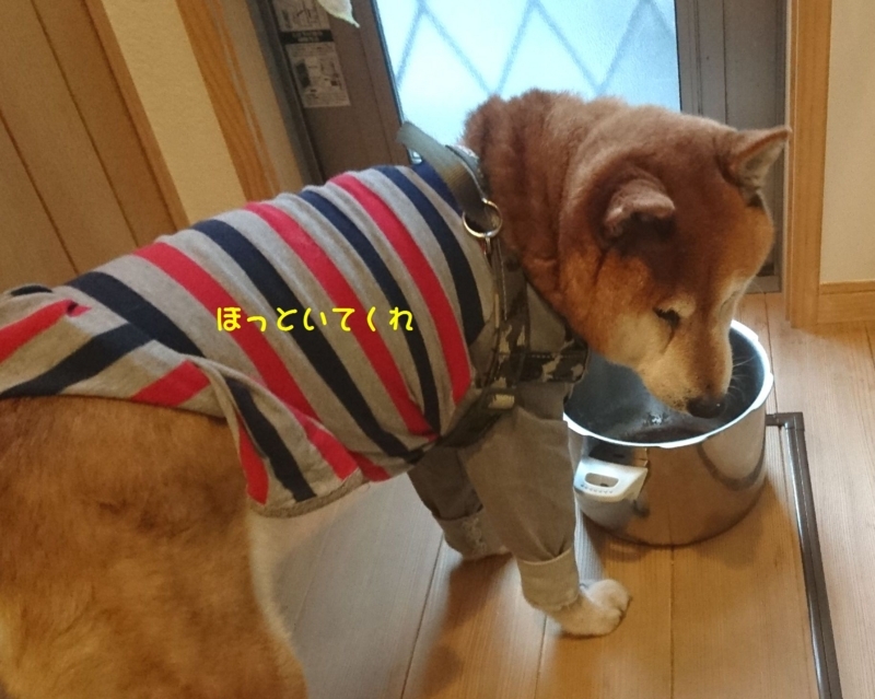 f:id:miyuki1967:20180418104037j:image:w450