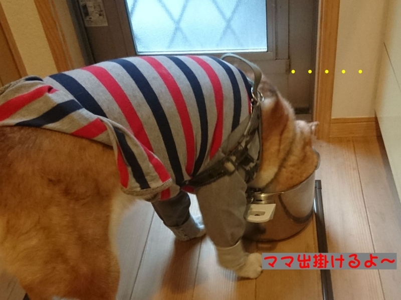 f:id:miyuki1967:20180418104038j:image:w450