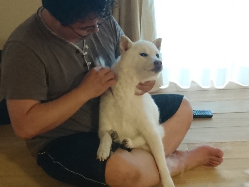 f:id:miyuki1967:20180515104339j:image:w450